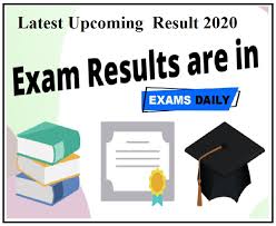 2019-2020 Academic Year Exam Results