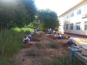 Collective tree planting event on 8.9.2023 at GTHS (Pakokku)